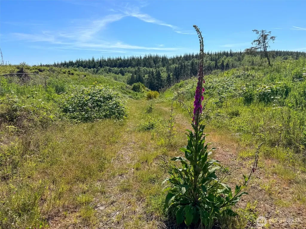 1 Andy Cooper Road Port Ludlow WA 98365
