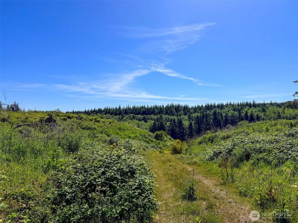 1 Andy Cooper Road Port Ludlow WA 98365