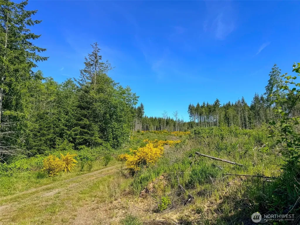 1 Andy Cooper Road Port Ludlow WA 98365