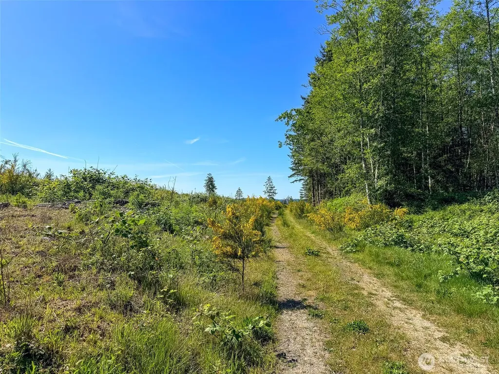 1 Andy Cooper Road Port Ludlow WA 98365