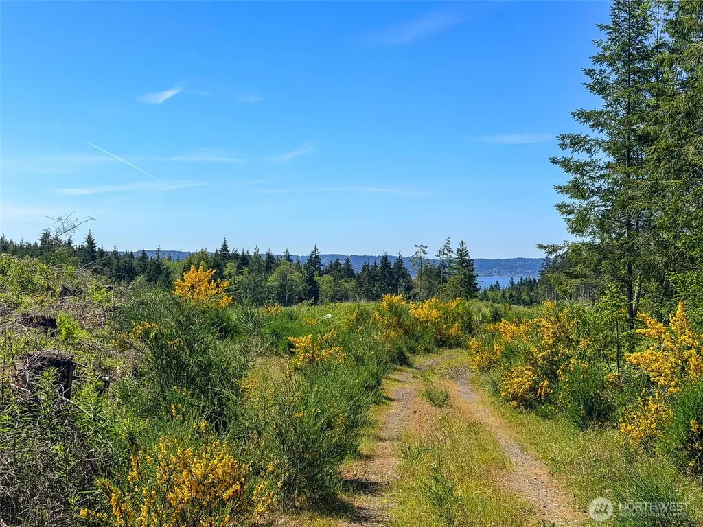 1 Andy Cooper Road Port Ludlow WA 98365