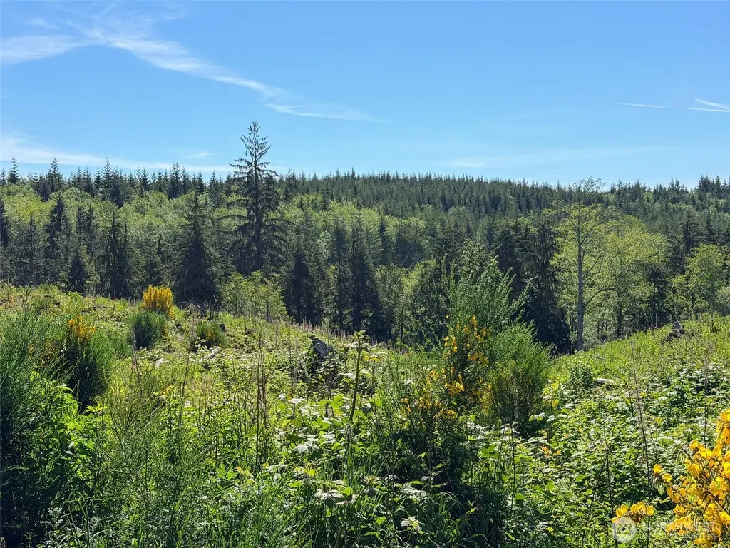 1 Andy Cooper Road Port Ludlow WA 98365