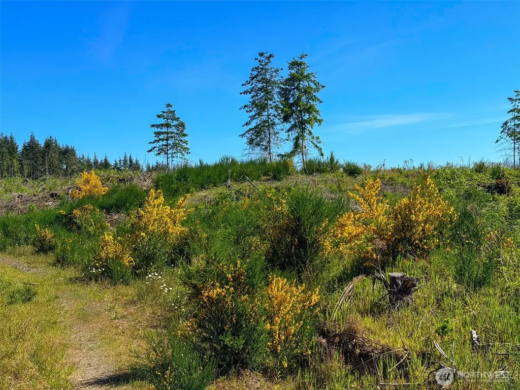 1 Andy Cooper Road Port Ludlow WA 98365