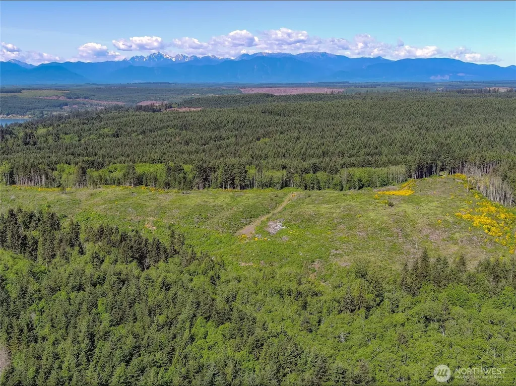 1 Andy Cooper Road Port Ludlow WA 98365