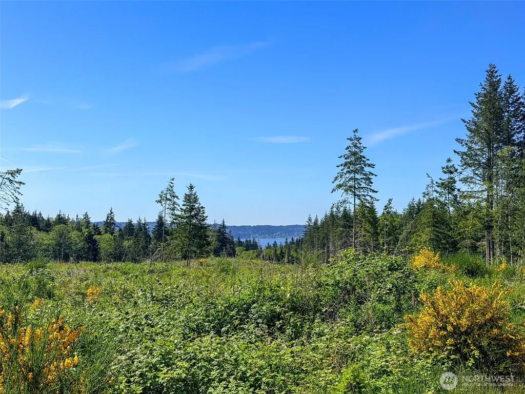 1 Andy Cooper Road Port Ludlow WA 98365