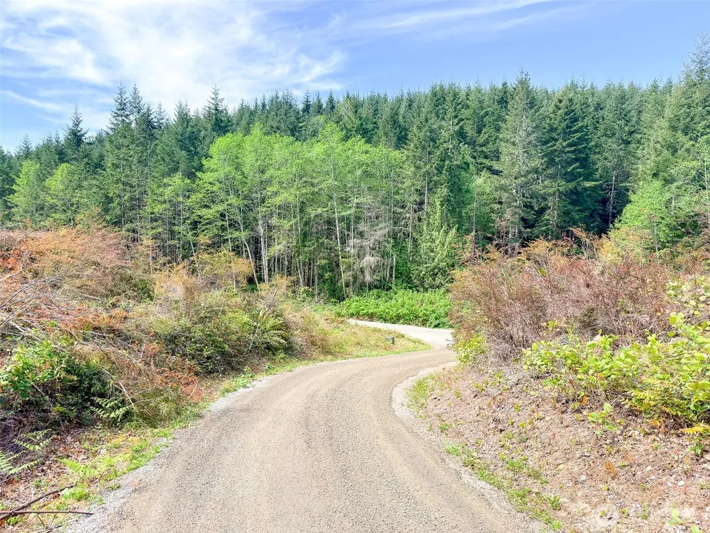 1 Teal Lake Road Port Ludlow WA 98365