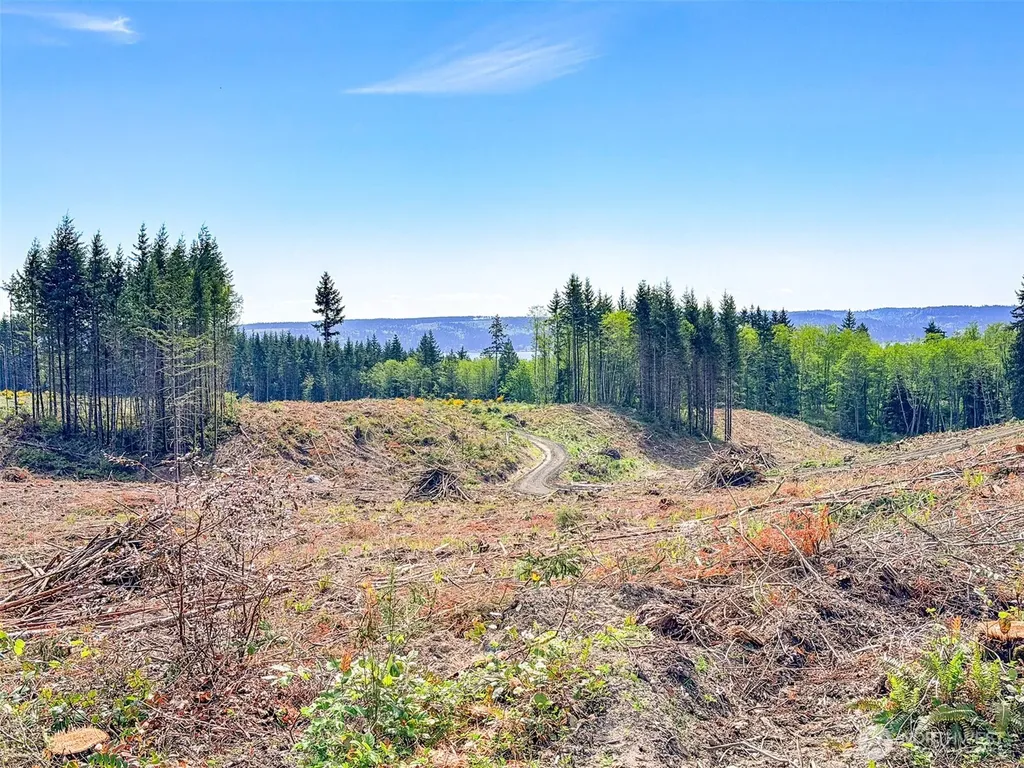 1 Teal Lake Road Port Ludlow WA 98365