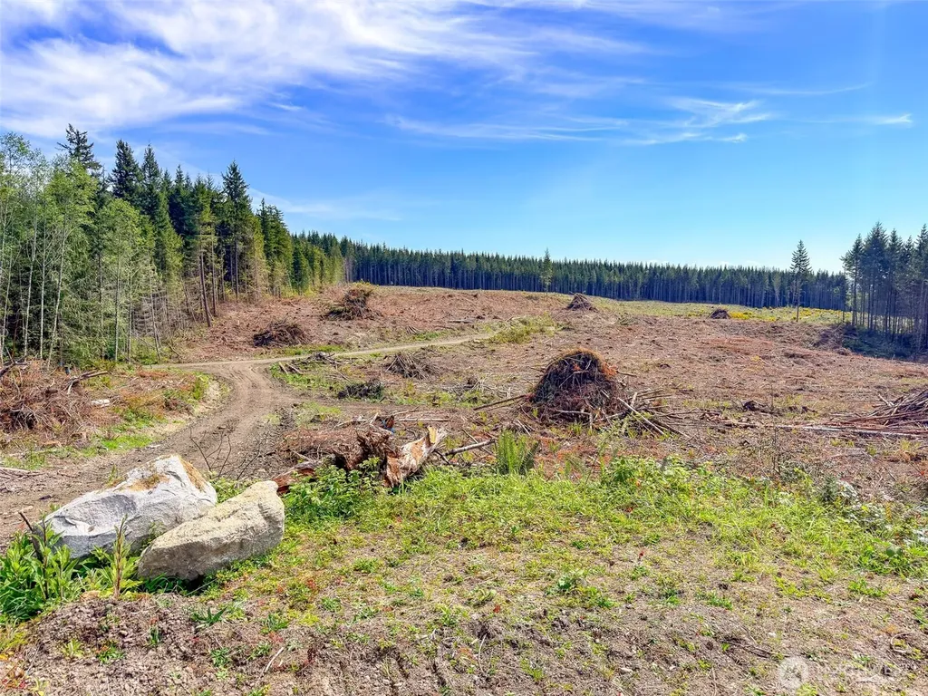 1 Teal Lake Road Port Ludlow WA 98365
