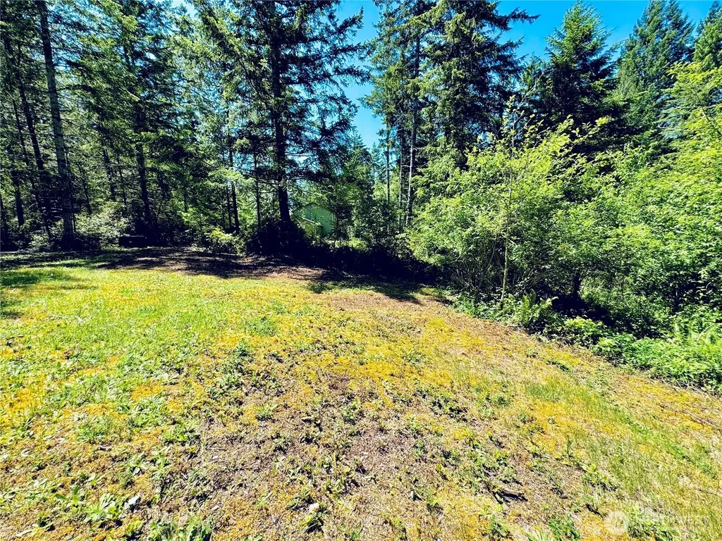 401 E Sunset Ridge Road Union WA 98592