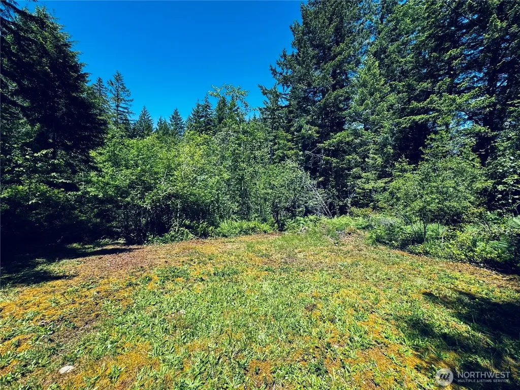 401 E Sunset Ridge Road Union WA 98592