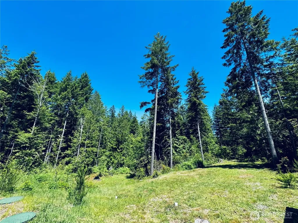401 E Sunset Ridge Road Union WA 98592