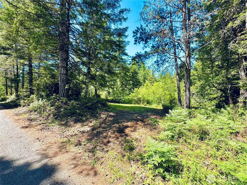 401 E Sunset Ridge Road Union WA 98592