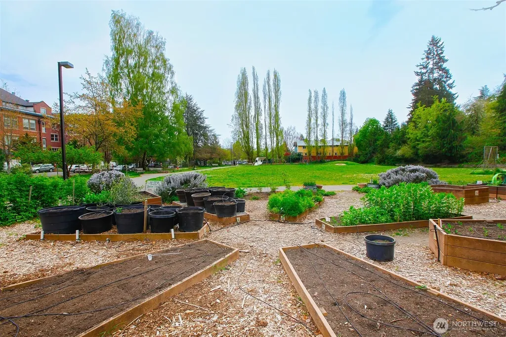 6525 23rd Avenue NE Seattle WA 98115
