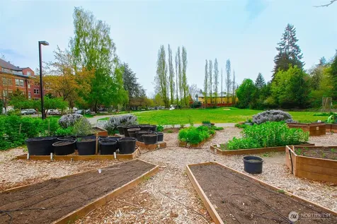 6525 23rd Avenue NE Seattle WA 98115