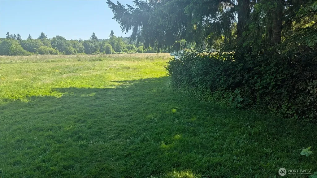 117 Enchanted Valley Drive N Vader WA 98593