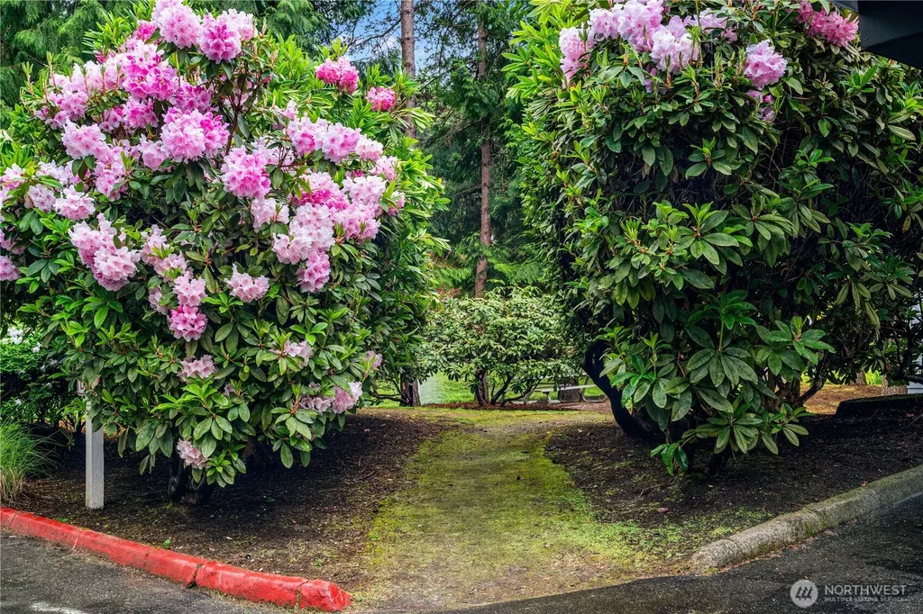 12618 100th Lane NE Kirkland WA 98034