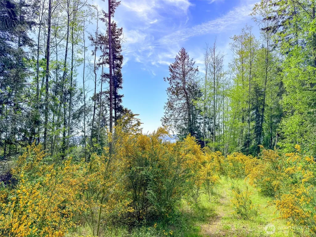 2 Teal Lake Road Port Ludlow WA 98365