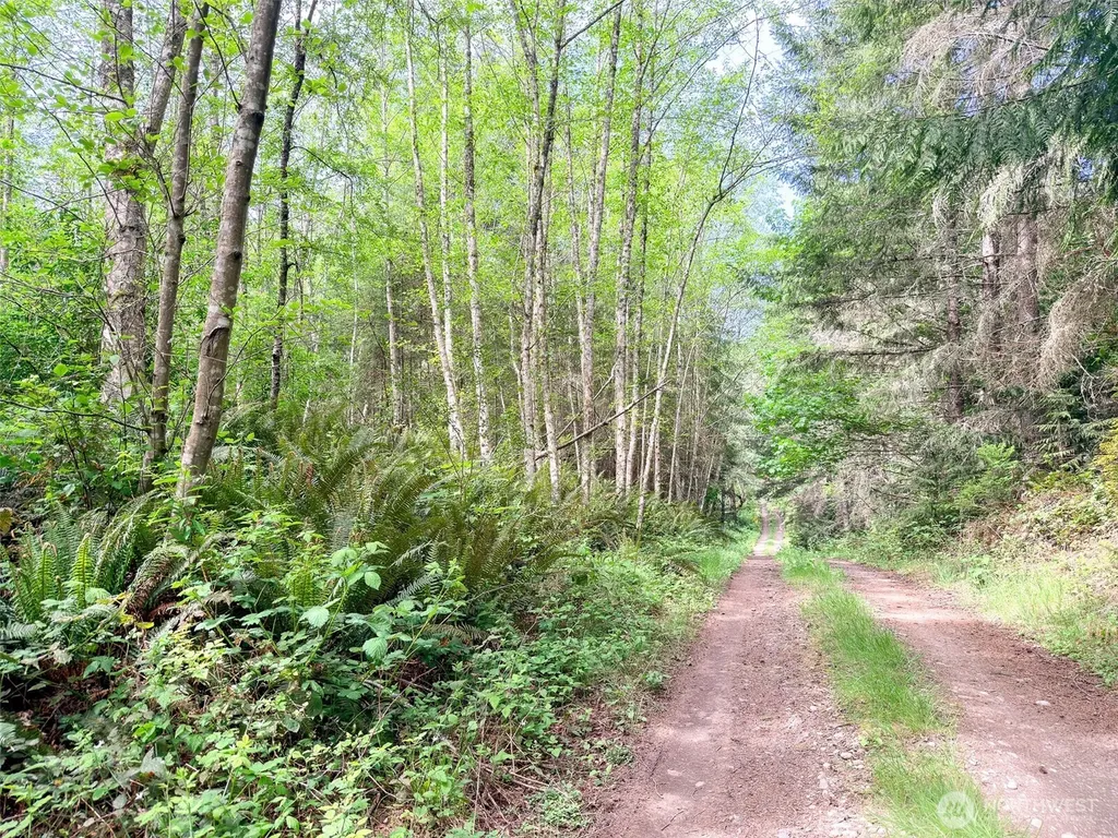 2 Teal Lake Road Port Ludlow WA 98365