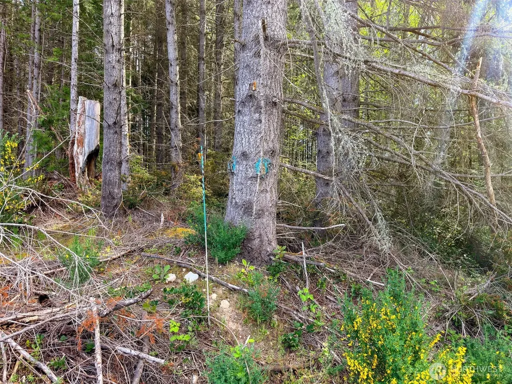 2 Teal Lake Road Port Ludlow WA 98365