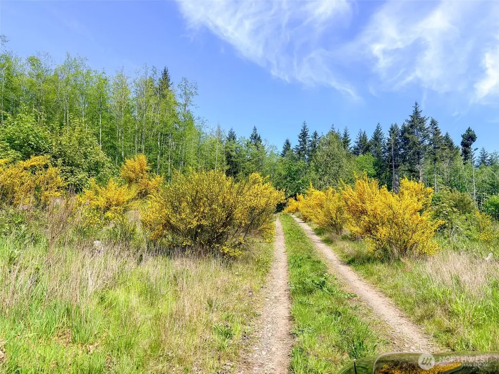 2 Teal Lake Road Port Ludlow WA 98365