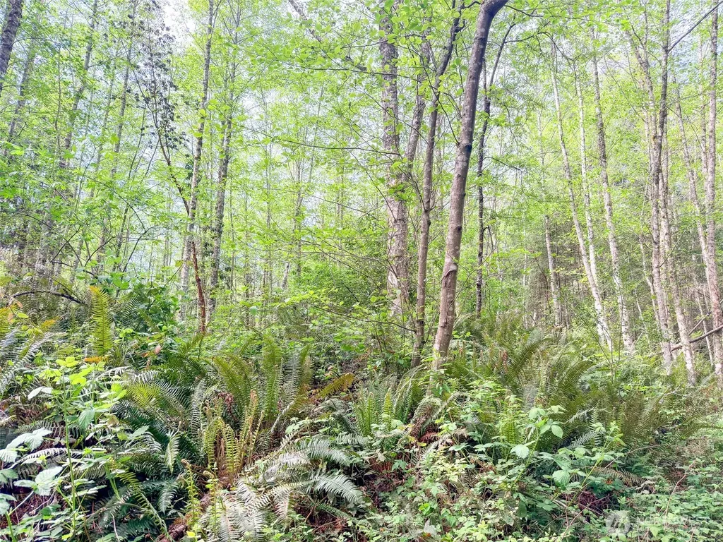 2 Teal Lake Road Port Ludlow WA 98365