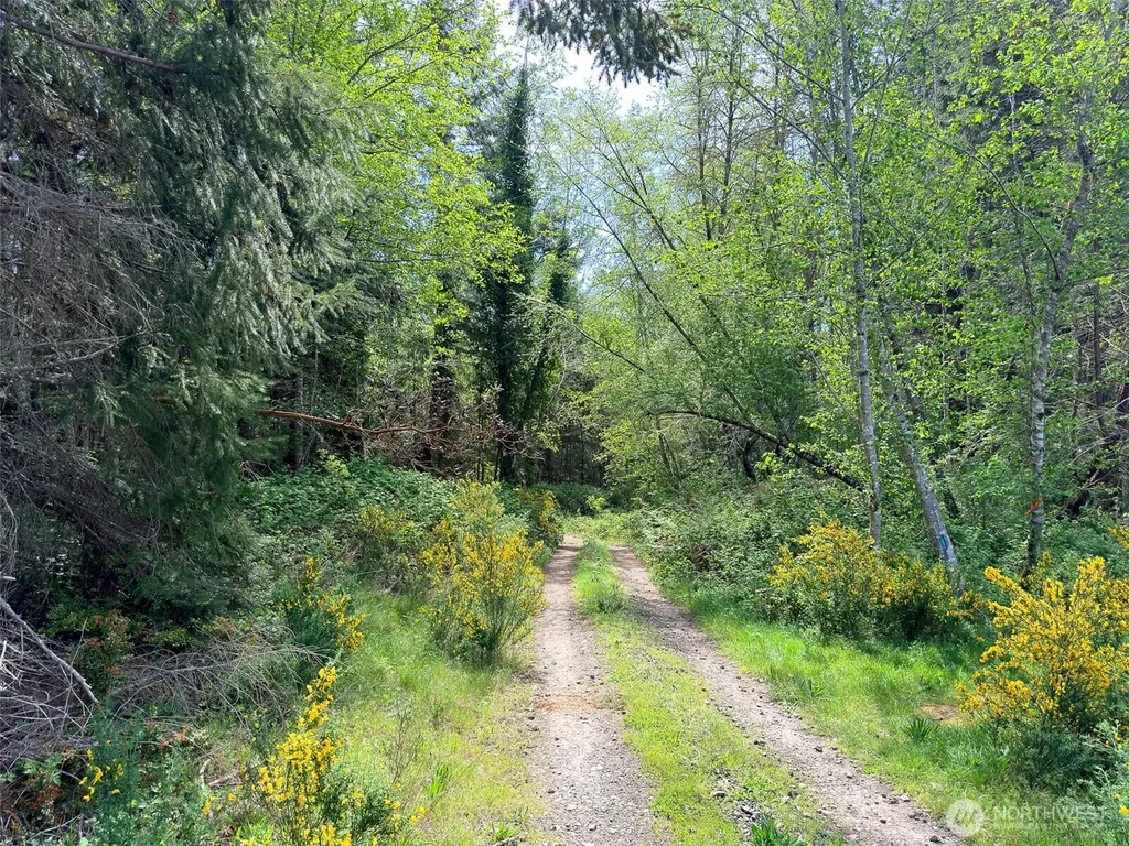 2 Teal Lake Road Port Ludlow WA 98365