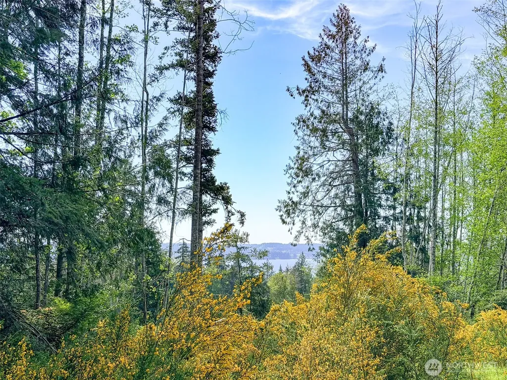 2 Teal Lake Road Port Ludlow WA 98365