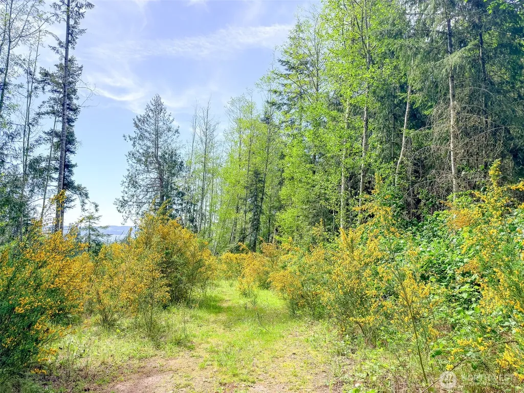 2 Teal Lake Road Port Ludlow WA 98365