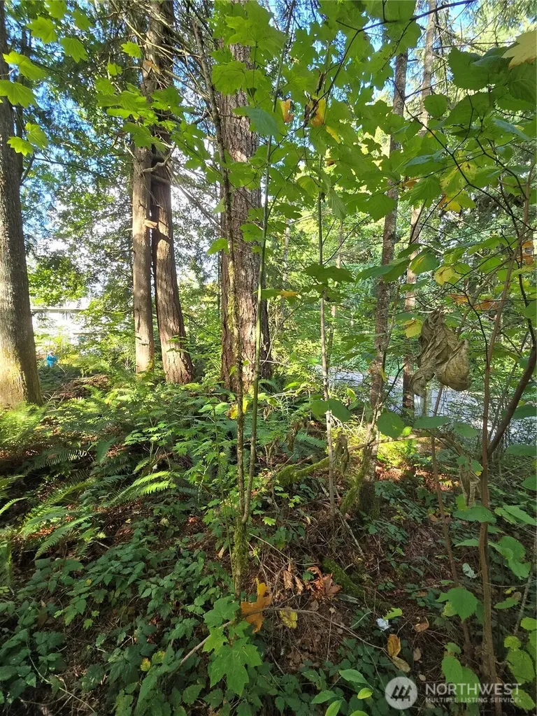 0 SE 159th Street North Bend WA 98045