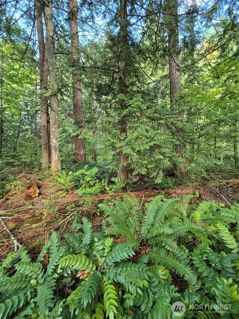 0 SE 159th Street North Bend WA 98045