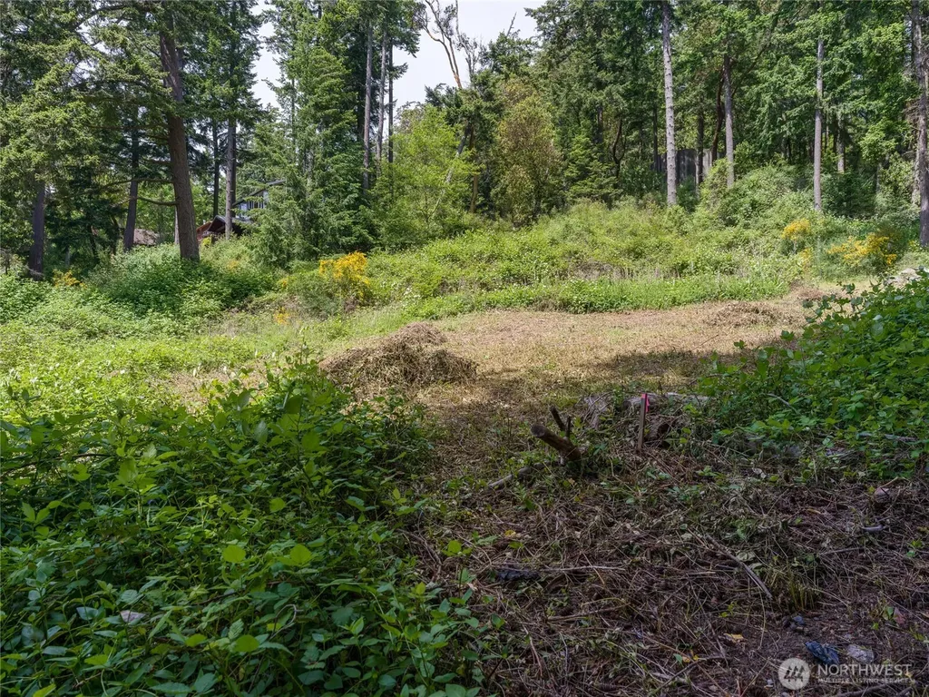 147 Geer Lane Orcas Island WA 98245