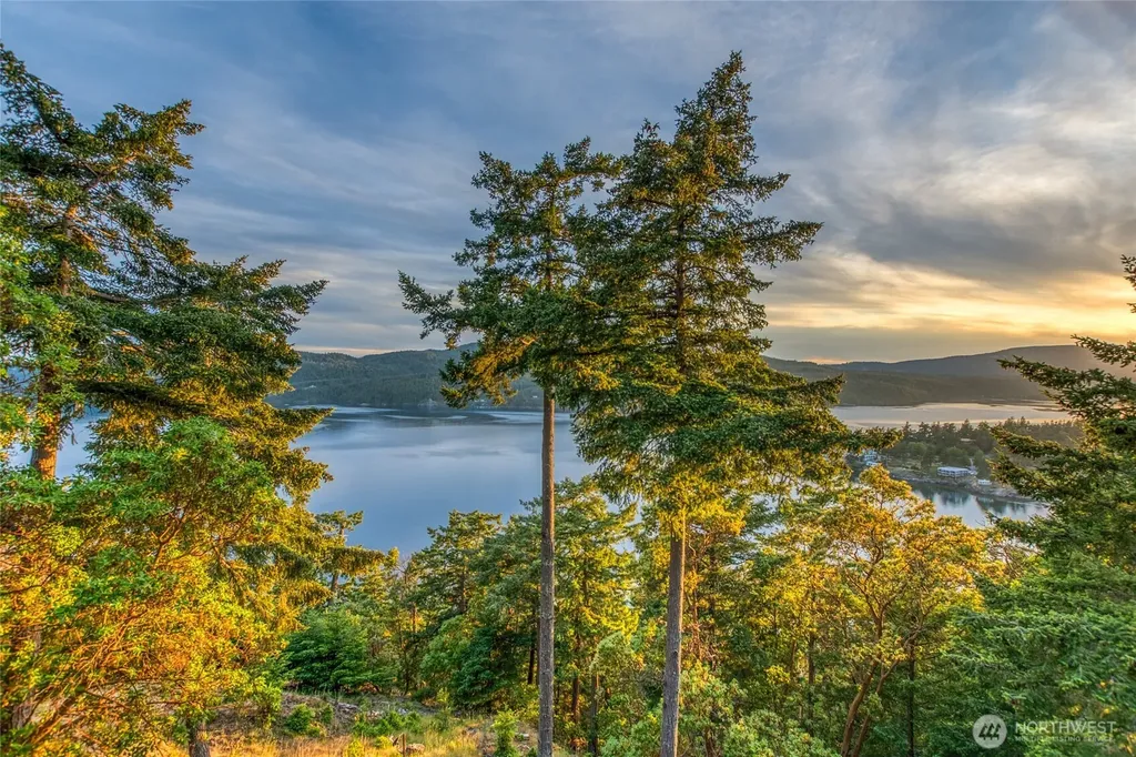 46 Marina Heights Lane Orcas Island WA 98245