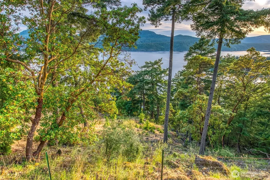 46 Marina Heights Lane Orcas Island WA 98245