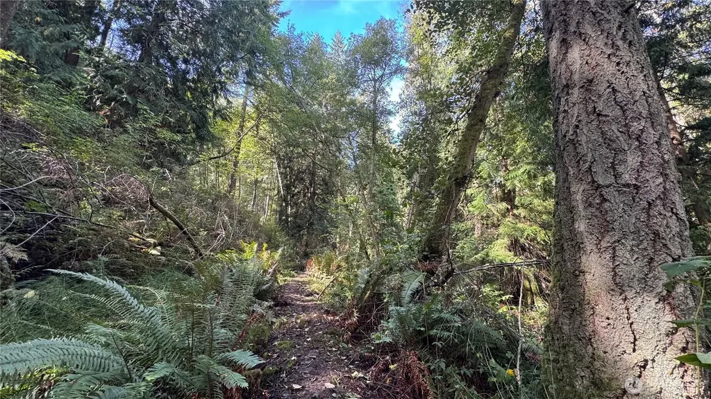 0 Heggeness Road Clinton WA 98236
