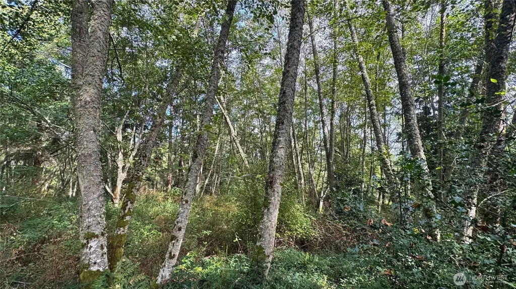 0 Heggeness Road Clinton WA 98236