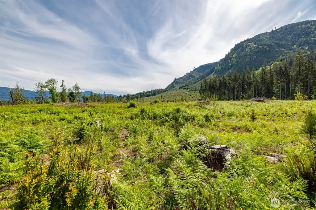 33308 South Skagit Highway Sedro Woolley WA 98284