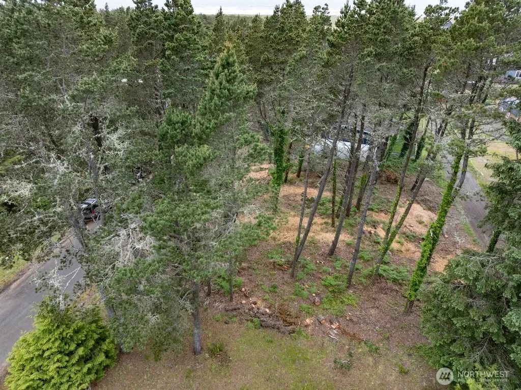 0 213th Place Ocean Park WA 98640