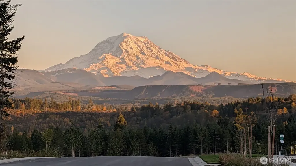 15816 205th Avenue E Bonney Lake WA 98391