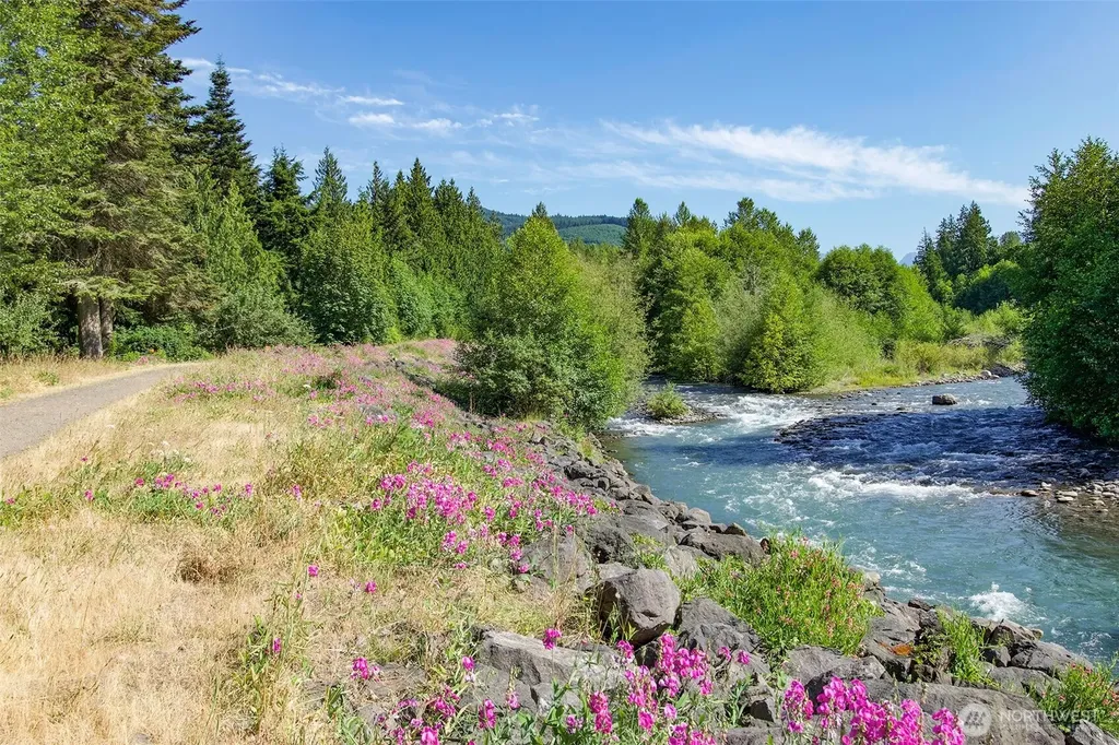 370 Dungeness Meadows Sequim WA 98382