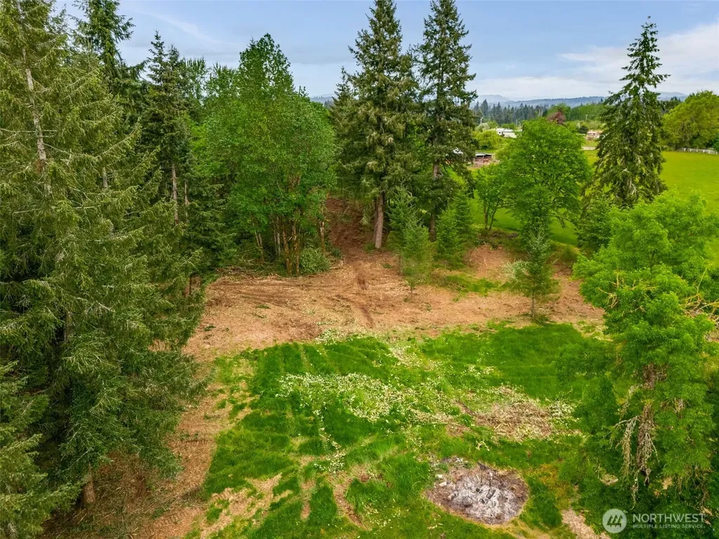 0 NW 314th Circle Ridgefield WA 98642