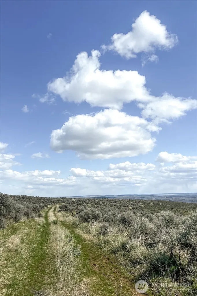 3060 Altura Lane NE Coulee City WA 99115