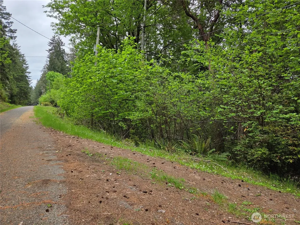 181 E Peale Drive Shelton WA 98584