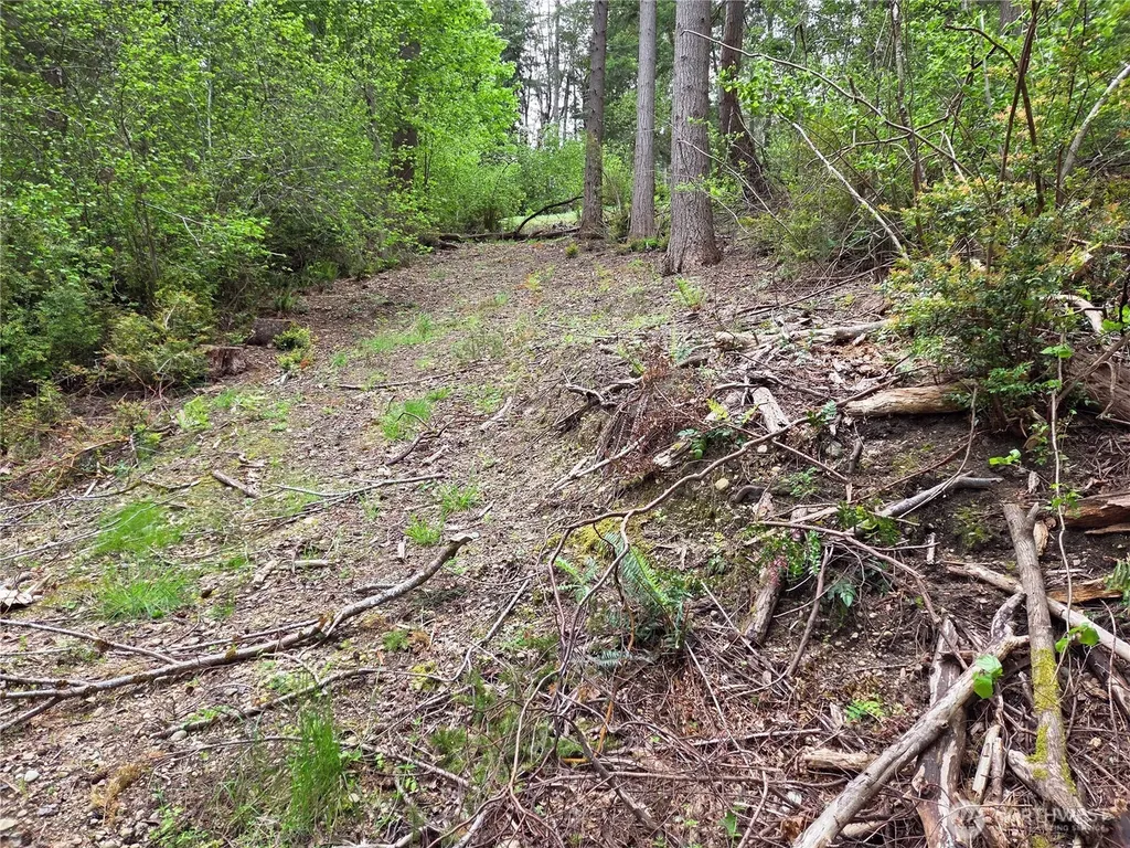 181 E Peale Drive Shelton WA 98584