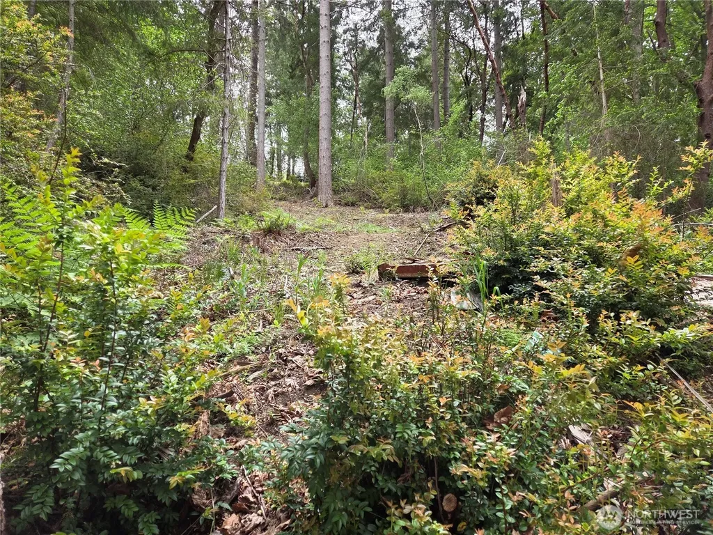 181 E Peale Drive Shelton WA 98584