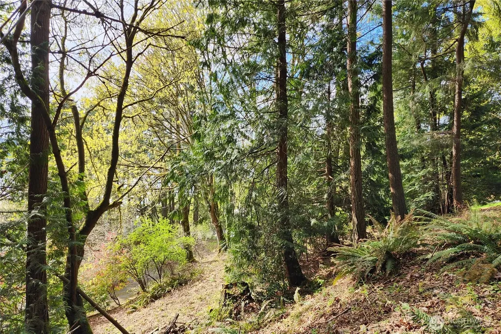 0 E Lake Sammamish Parkway NE Sammamish WA 98074