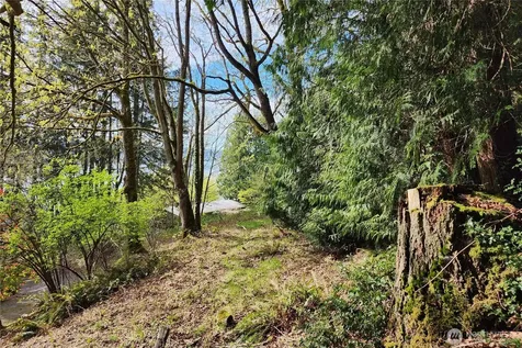 0 E Lake Sammamish Parkway NE Sammamish WA 98074