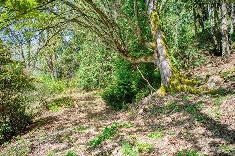 0 E Lake Sammamish Parkway NE Sammamish WA 98074
