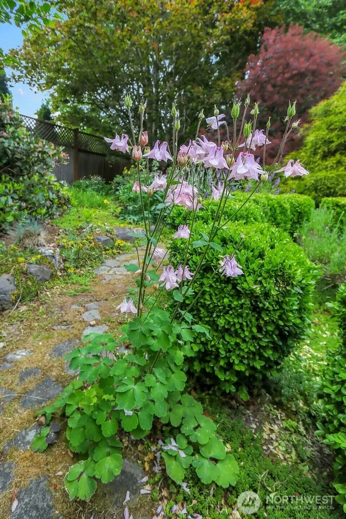 13325 19th Avenue NE Seattle WA 98125