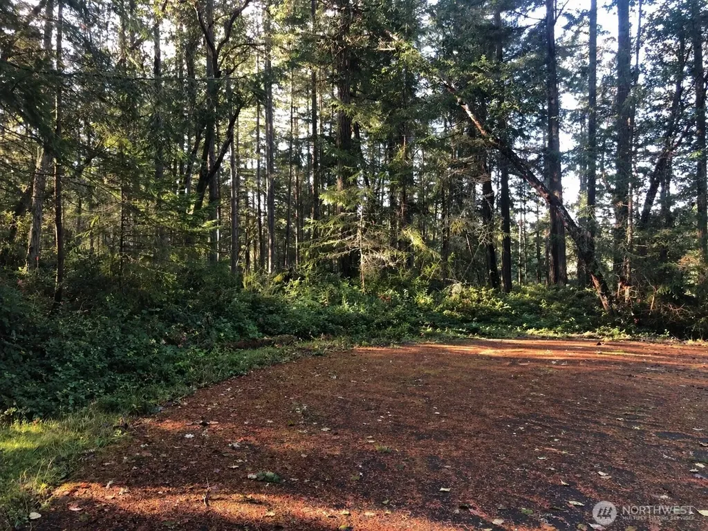 9501 116th Avenue Court Anderson Island WA 98303