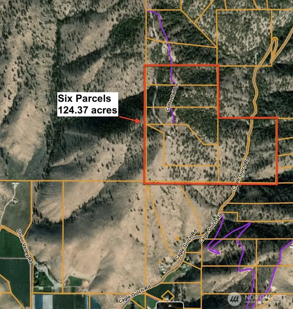 1831 Cottontail Lane Chelan WA 98816